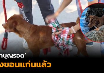 เจ้าบุญรอด ถึงขอนแก่นแล้ว หลังคนเข้าช่วยพบลอยคอกลางทะเลอ่าวไทย