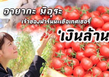 สาวญี่ปุ่น ทำฟาร์ม ‘มะเขือเทศเชอรี่’ ใช้เทคโนโลยี ขายแบบพรีเมียม และสร้างระบบงานเอื้อคนเป็นแม่