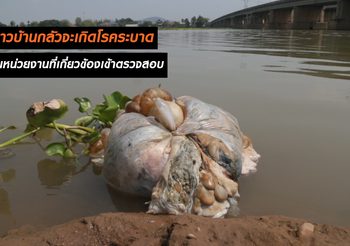 พบถุงเครื่องในเน่าปริศนาทิ้งเจ้าพระยา ชาวบ้านหวั่น!! เกิดโรคระบาด