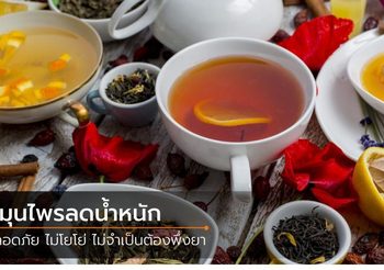 5 สมุนไพรลดน้ำหนัก ประโยชน์จากธรรมชาติ ปลอดภัย ไม่โยโย่