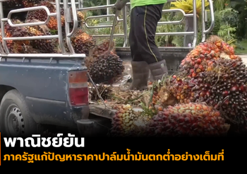 พาณิชย์ยัน! ภาครัฐแก้ปัญหาราคาปาล์มน้ำมันตกต่ำอย่างเต็มที่