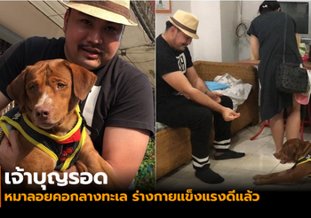 เจ้าบุญรอด หมาน้อยลอยคอกลางทะเล ได้พบคนช่วยชีวิตครั้งแรก