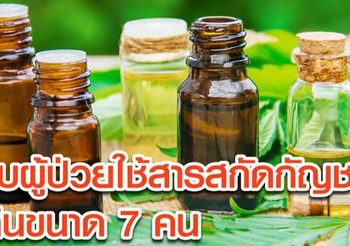กรมการแพทย์ เผยพบผู้ป่วยใช้ ‘สารสกัดกัญชา’ เกินขนาด 7 คน ใน 1 เดือน