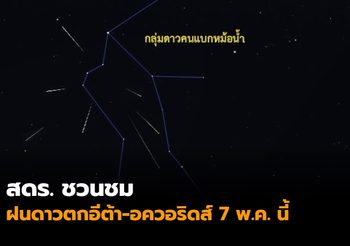 ผลมวย วันอาทิตย์ที่ 19 พฤษภาคม 2562