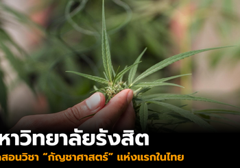 มหาวิทยาลัยรังสิต เปิดสอนวิชา ‘กัญชาศาสตร์’ แห่งแรกในไทย