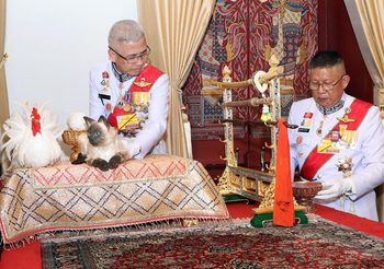 เปิดความหมาย แมว-ไก่ขาว สิ่งของอันเป็นมงคล ในพระราชพิธีเฉลิมพระราชมณเฑียร