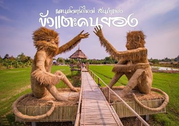 ไปถ่ายรูปกัน! หุ่นฟางยักษ์กลางทุ่งข้าว ณ ขัวแตะคนยอง จุดเช็คอินใหม่ของสันกำแพง