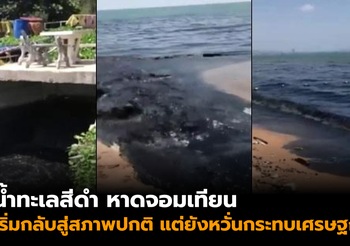 น้ำทะเลสีดำ หาดจอมเทียน เริ่มกลับสู่สภาพปกติ หวั่นกระทบเศรษฐกิจ