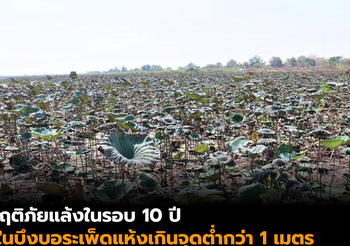 วิกฤติภัยแล้งในรอบ 10 ปี น้ำในบึงบอระเพ็ดแห้งเกินจุดต่ำกว่า 1 เมตร