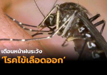 สสจ. เตือนหน้าฝนระวังโรคไข้เลือดออกระบาด พบมีผู้ป่วยสะสมเพิ่ม