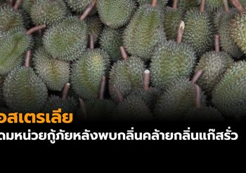ออสเตรเลียระดมหน่วยกู้ภัยหลังพบกลิ่นคล้ายแก๊สรั่วพบเป็นกลิ่น ‘ทุเรียน’
