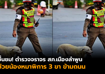 น่ารัก! ภาพนายตำรวจจราจร พาน้องหมา 3 ขา เดินข้ามถนน