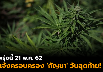 พรุ่งนี้ 21 พ.ค. 62 แจ้งครอบครอง ‘กัญชา’ วันสุดท้าย!