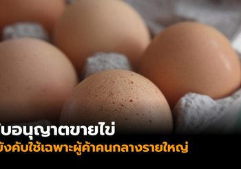 ปศุสัตว์ แจง ‘ใบอนุญาตขายไข่’ บังคับใช้เฉพาะผู้ค้าคนกลางรายใหญ่