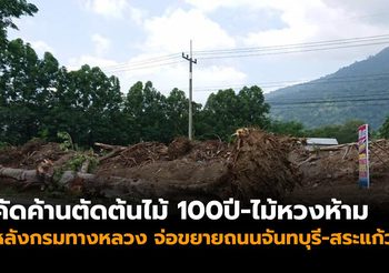 คัดค้านกรมทางหลวงตัดต้นไม้ 100ปี-ไม้หวงห้าม เพื่อขยายถนนจันทบุรี-สระแก้ว