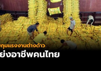 จับกุมแรงงานต่างด้าวแย่งอาชีพคนไทยแล้วกว่า 300 คน
