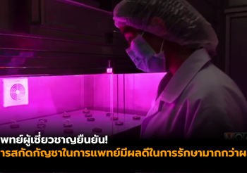 แพทย์ ยืนยัน สารสกัดกัญชาในการแพทย์ไม่มีโทษ