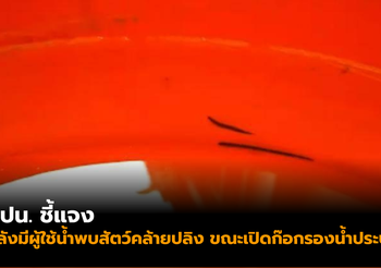 กปน. ชี้แจง หลังมีผู้ใช้น้ำพบสัตว์คล้ายปลิง ขณะเปิดก๊อกรองน้ำประปา