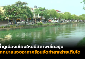 คนเชียงใหม่กังวลหลังน้ำคูเมืองมีสภาพเขียวขุ่น เทศบาลแจงอากาศร้อนจัด