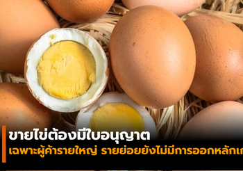 ปศุสัตว์แจง ผู้ค้าไข่รายย่อย ยังไม่บังคับต้องขอใบอนุญาต
