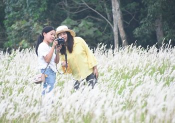 แวะแชะภาพสวยๆ กับ ทุ่งดอกหญ้าคา เขาใหญ่ ขาวโพลนราวหิมะ