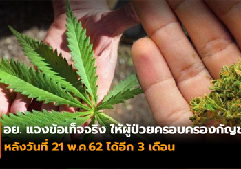 อย. แจงข้อเท็จจริง! ให้ผู้ป่วยครอบครองกัญชา หลังวันที่ 21 พ.ค.ได้อีก 3 เดือน