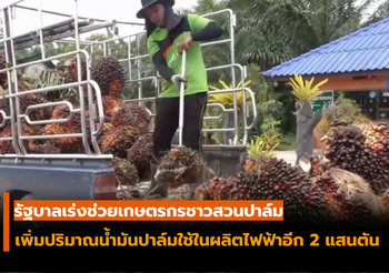 มีมติให้ การไฟฟ้าฝ่ายผลิต จัดซื้อน้ำมันปาล์มดิบจำนวน 200,000 ตัน