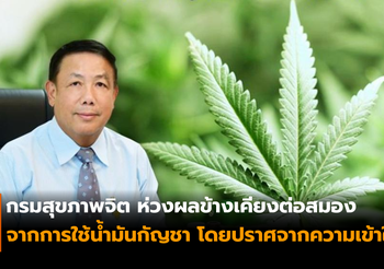 การใช้กัญชา โดยปราศจากความเข้าใจ อาจส่งผลกระทบต่อสมองผู้ใช้โดยตรง