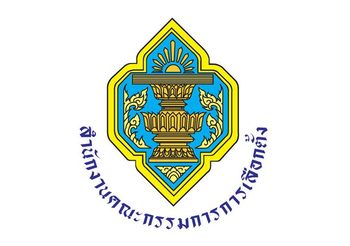 กกต. มีมติสั่งให้ผู้สมัครรับเลือกตั้ง 11 คน ขาดคุณสมบัติ