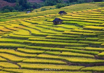 10 ที่เที่ยวแม่แจ่ม เชียงใหม่ เมืองในหุบเขา ธรรมชาติสวยตระการตา