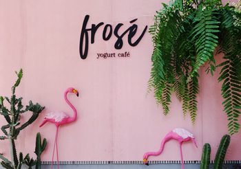 มันก็จะชมพู๊ ชมพูหน่อย Frosé Yogurt Café นิมมานฯ ซอย 5