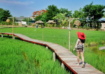 สัมผัสธรรมชาติใกล้กรุงฯ ที่ ทุ่งนามอญบ้านบ่อทอง จ.ปทุมธานี