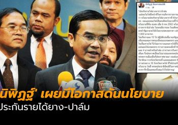 ‘นิพิฏฐ์’ เผยมีโอกาสดันนโยบายประกันรายได้ยาง-ปาล์ม