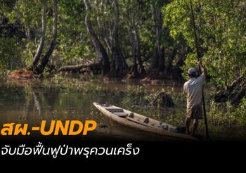 สผ. และ UNDP จับมือฟื้นฟูป่าพรุควนเคร็ง พื้นที่ชุ่มน้ำ รับมือภัยโลกร้อน