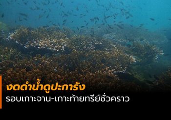 งดกิจกรรมดำน้ำดูปะการังรอบเกาะจาน-เกาะท้ายทรีย์ชั่วคราว