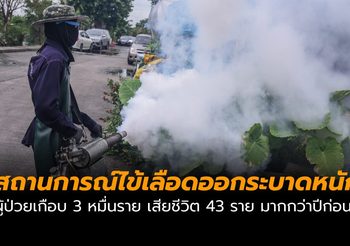 ไข้เลือดออกระบาดหนัก เสียชีวิตแล้ว 43 ราย