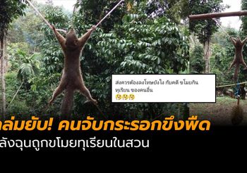 ถล่มยับ! เจ้าของสวนผลไม้จับกระรอกขึงพืด ฉุนถูกขโมยทุเรียน