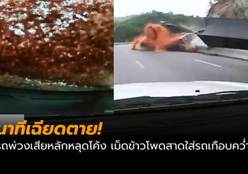 เผยคลิปนาทีเฉียดตาย! รถพ่วงเสียหลักหลุดโค้ง เม็ดข้าวโพดสาดใส่รถจนเกือบคว่ำ