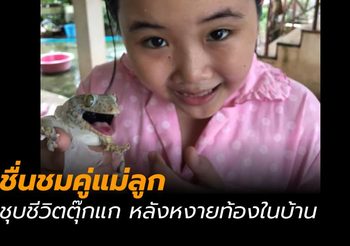 ประทับใจคู่แม่ลูก ช่วยชีวิตตุ๊กแก แม้ลึกๆ จะกลัวแทบขาดใจ