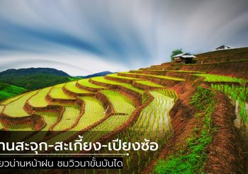 บ้านสะจุก-สะเกี้ยง-เปียงซ้อ เที่ยวน่านหน้าฝน ชมวิวนาขั้นบันได