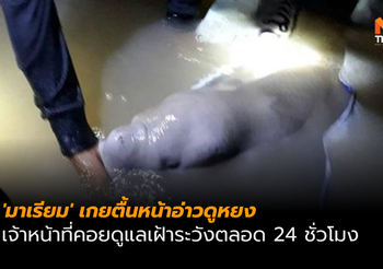 หลับเพลิน ‘มาเรียม’ เกยตื้นหน้าอ่าวดูหยง เจ้าหน้าที่เร่งช่วยลงสู่น้ำลึก