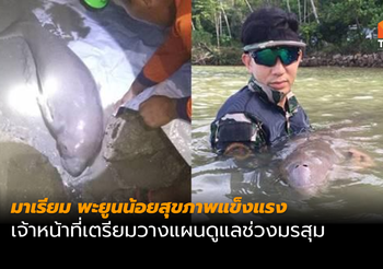 จนท.เฝ้าติดตาม ‘มาเรียม’ เตรียมวางแผนดูแลช่วงมรสุม