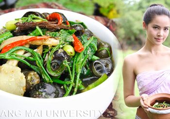 สูตร แกงหอย ยะคนเดียวก็ได้ บ่ต้องง้อกาสะลอง