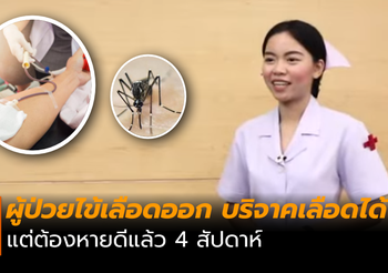 ผู้ป่วยไข้เลือดออก บริจาคเลือดได้ แต่ต้องหายดีแล้ว 4 สัปดาห์