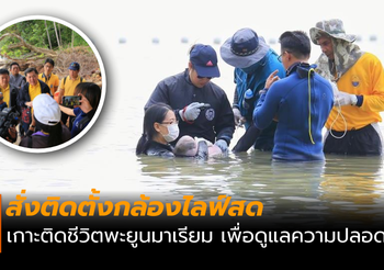 สั่งติดตั้งกล้องไลฟ์สด เกาะติดชีวิตพะยูนน้อยมาเรียม
