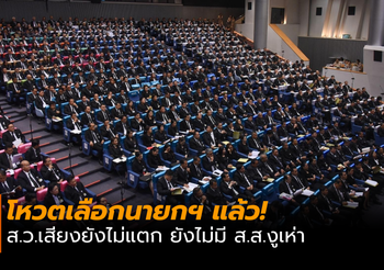 ส.ว.เสียงยังไม่แตก ยังไม่มี ส.ส.งูเห่า
