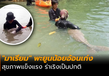 “มาเรียม” พะยูนน้อยอ้อนเก่ง สุขภาพแข็งแรง ร่าเริงเป็นปกติ