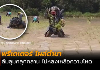 ‘พรีเดเตอร์’ โผล่รับจ้างดำนา หาเงินกลับดาว