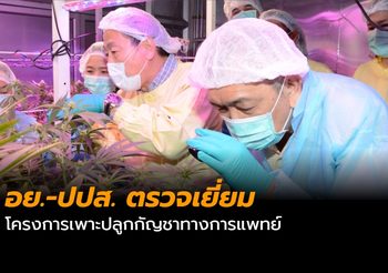 อย.-ปปส. ตรวจเยี่ยมโครงการเพาะปลูกกัญชาทางการแพทย์