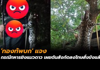‘กองทัพบก’ แจงกรณีทหารยิงแมวดาว เผยต้นสังกัดลงโทษสั่งขังแล้ว